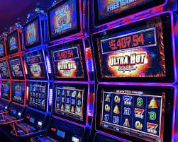 312bet9